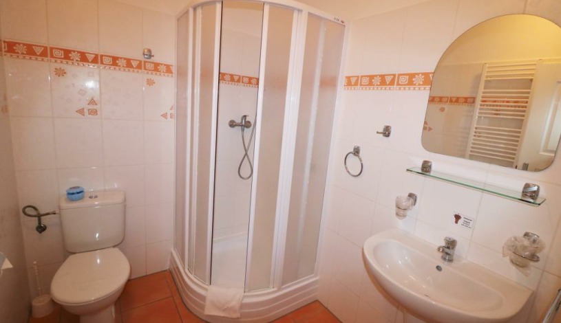 Lázeňský dům Palace I **** Františkovy Lázně - Dvoulůžkový STANDARD